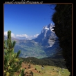 Kleine Scheidegg ( 2061 m n. m. )